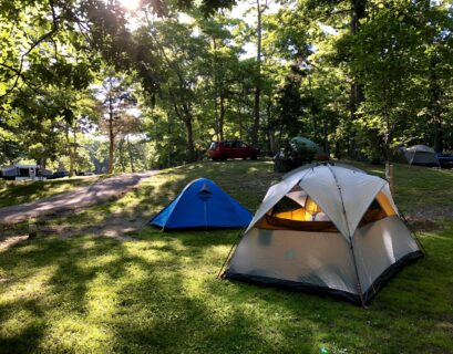 rentabilite camping informations
